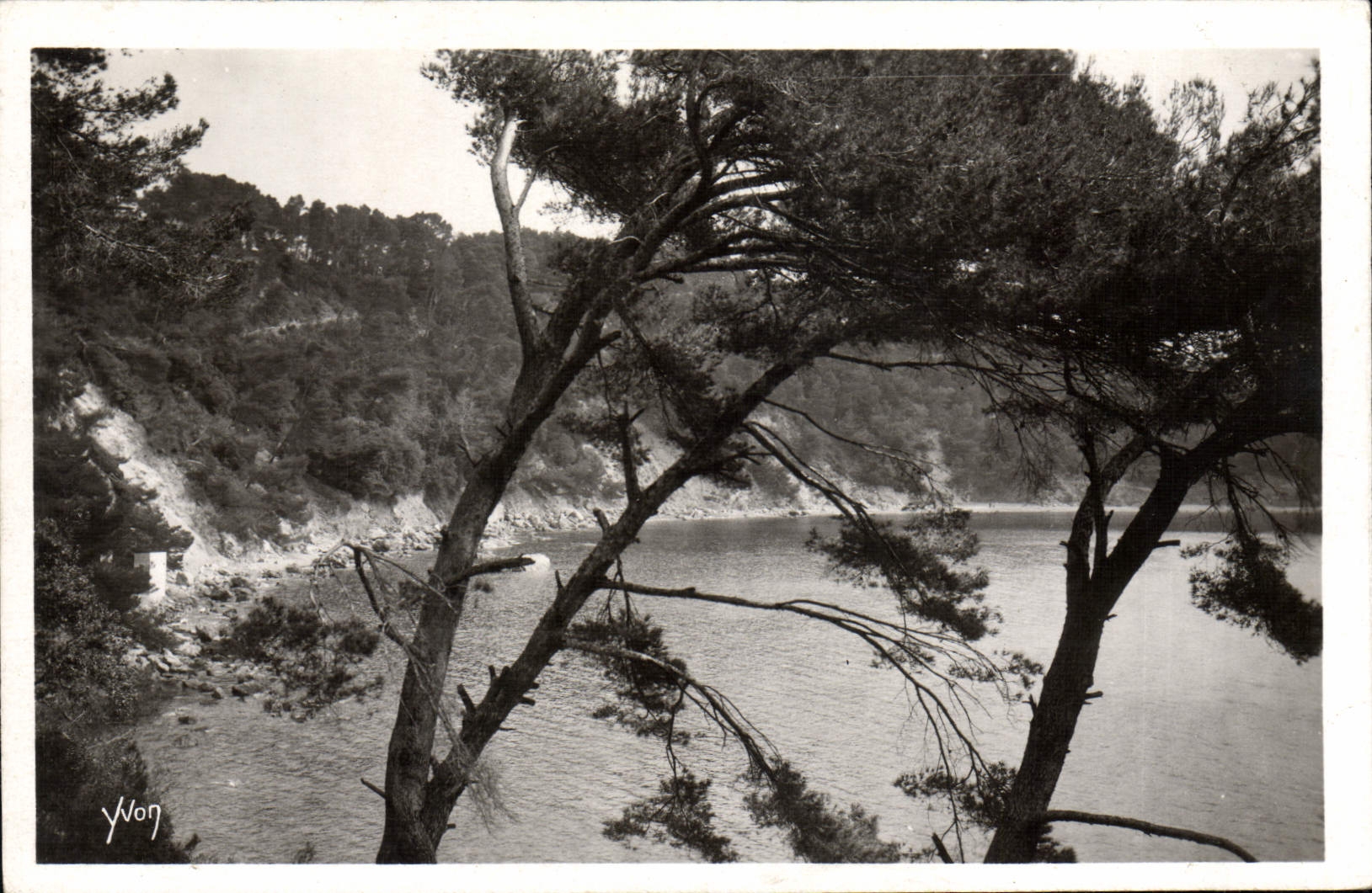 CPM La Douce France Cote D'Azur Toulon Anse du Magaud