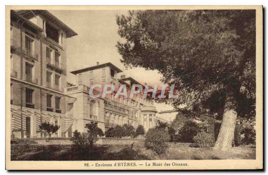 CPA Environs d'Hyeres Le Mont des Oiseaux 