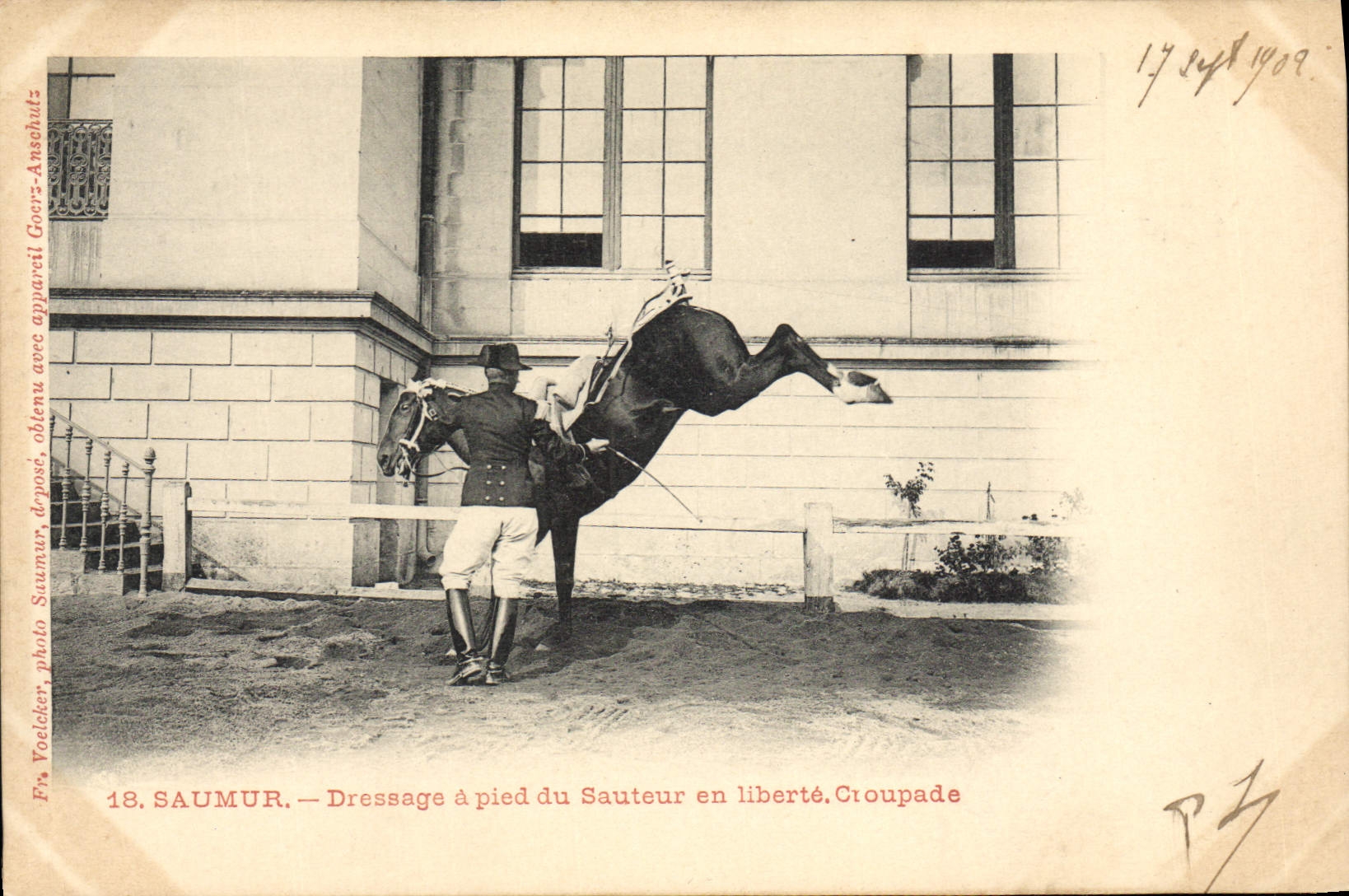 CPA Cheval Hippisme Saumur Dressage a pied du sauteur en liberte Croupade 