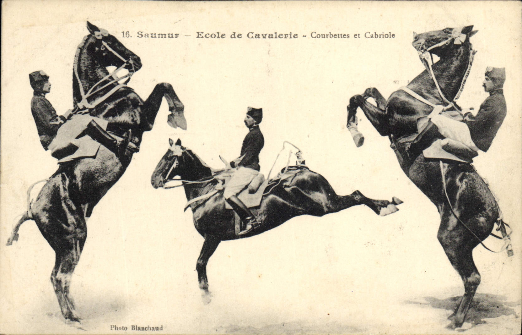 CPA Cheval Hippisme Saumur Ecole de cavalerie Courbettes et cabriole