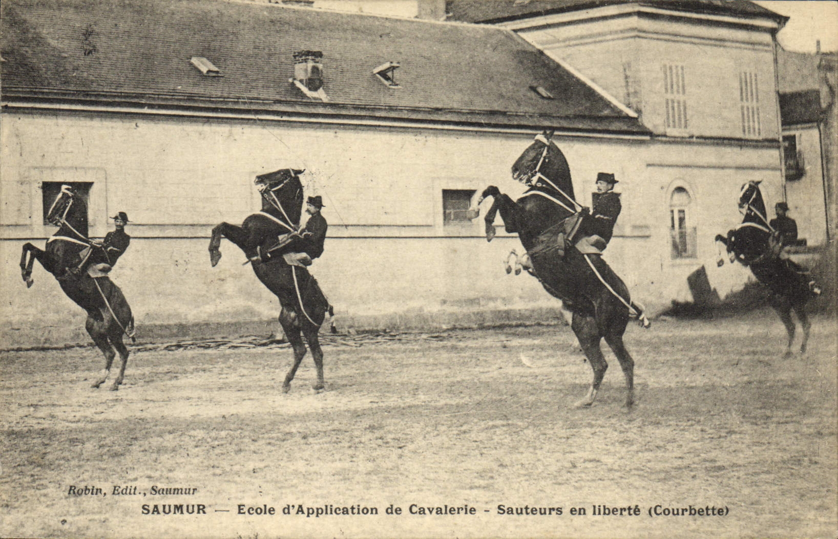 CPA Cheval Hippisme Saumur Ecole d'application de cavalerie Sauteurs en liberte (courbette)