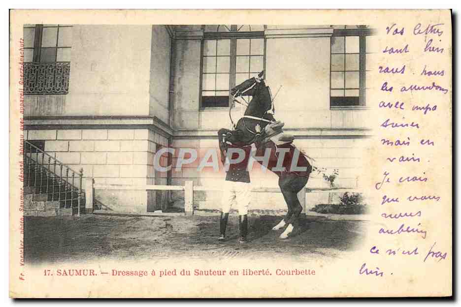 CPA Cheval Hippisme Saumur Dressage a pied du sauteur en liberte Courbette