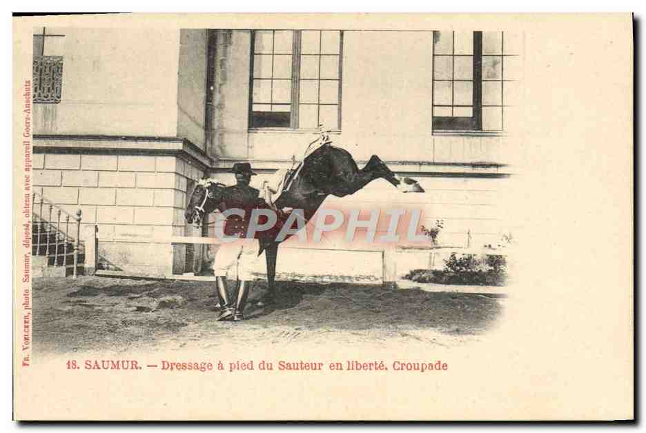 CPA Cheval Hippisme Saumur Dressage a pied du sauteur en liberte Croupade
