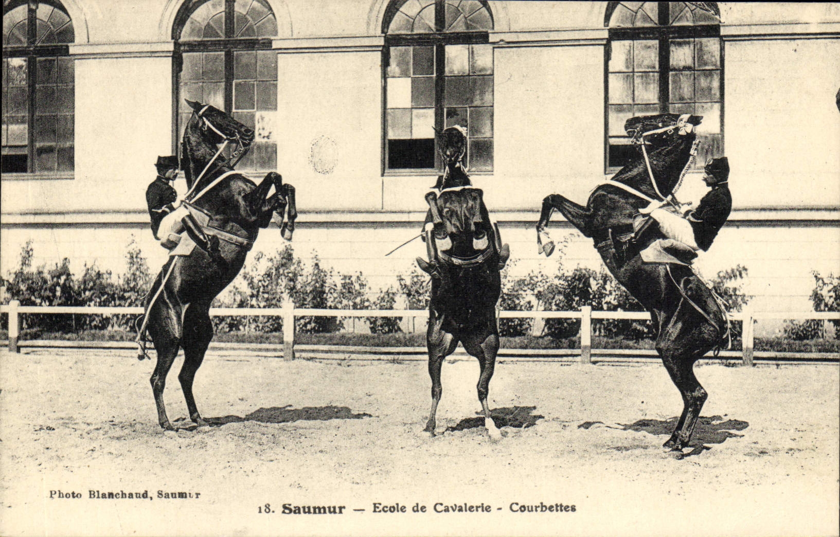 Saumur — Ecole de Cavalerie — Courbettes — Photo Blanchaud, Saumur