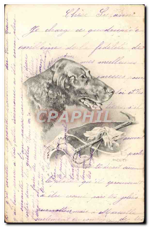 CPA Fantaisie Illustrateur Chien 