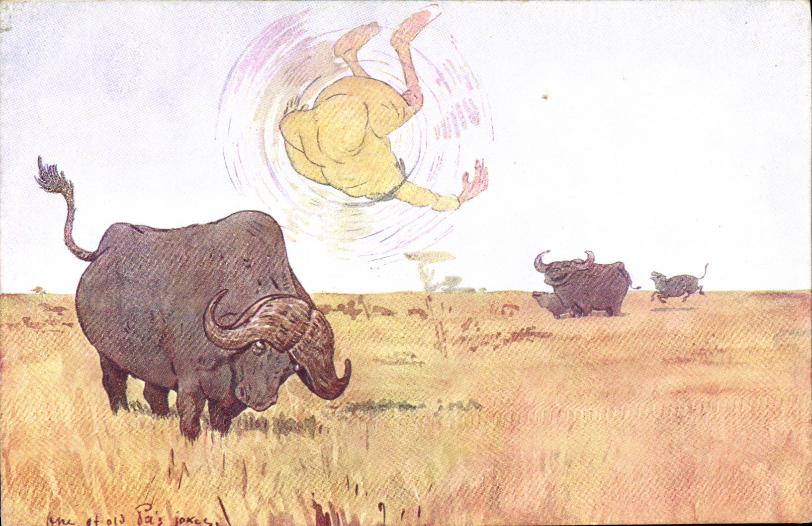 CPA Fantaisie Illustrateur Afrique Boeufs 