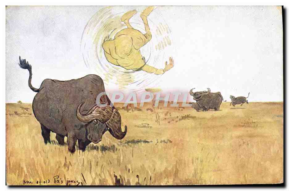 CPA Fantaisie Illustrateur Afrique Boeufs
