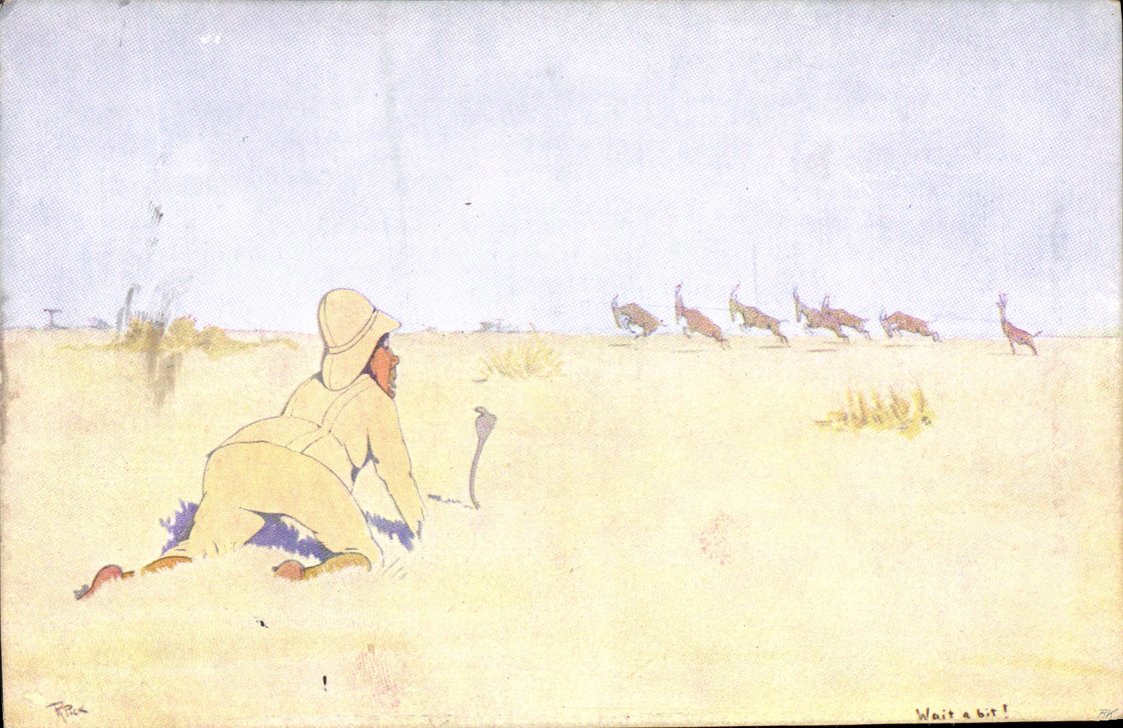 Cazador en África — escena de caza con ñus — The Cairo Postcard Trust, n° 954-0