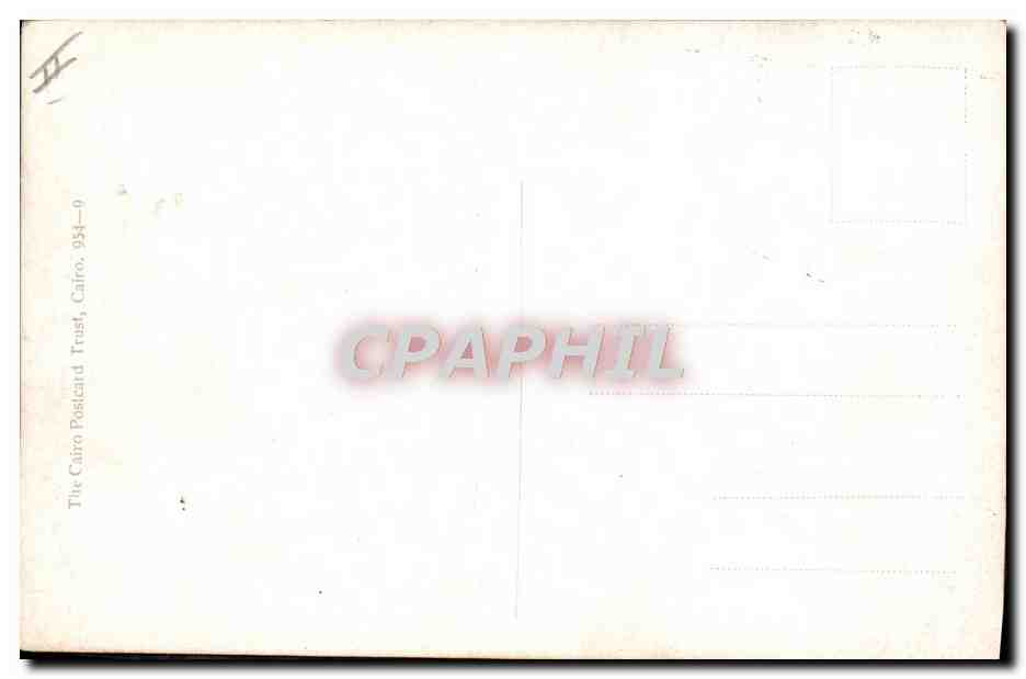 Cazador en África — escena de caza con ñus — The Cairo Postcard Trust, n° 954-0 — Reverso