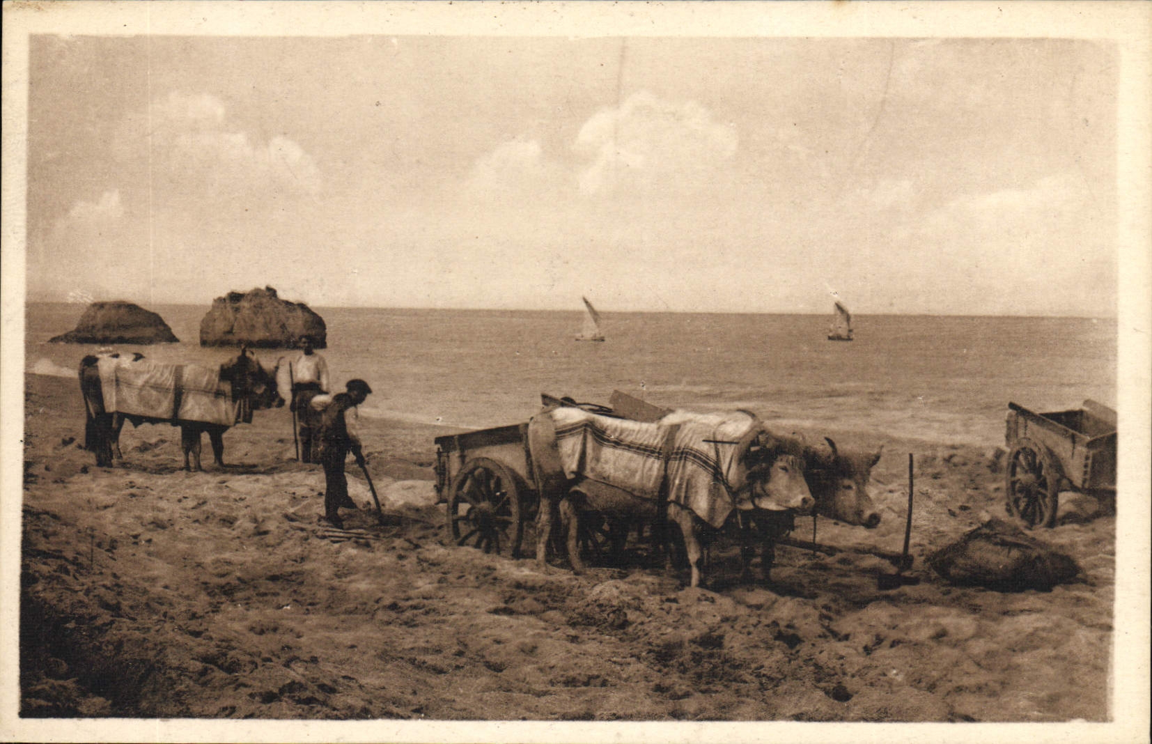 CPA Folklore Types basques Attelages basques au bord de la mer Boeufs 