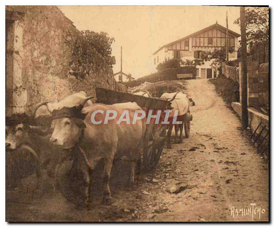 CPA Folklore Au pays basque Attelage de boeufs 