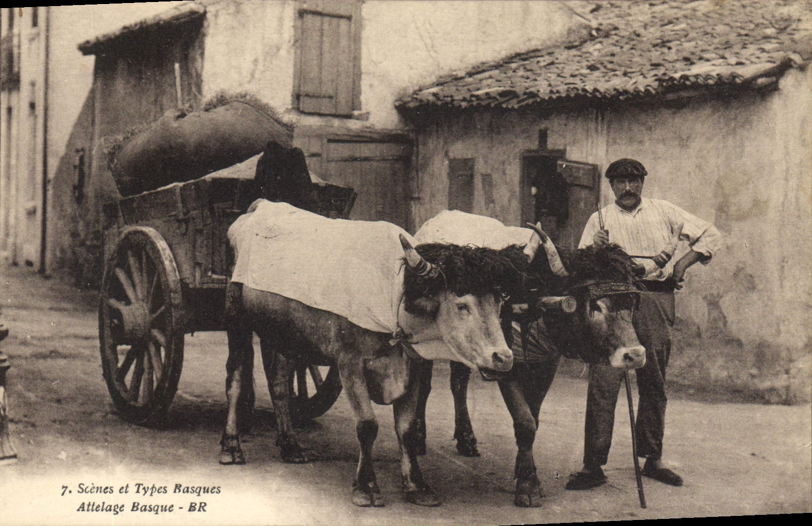 CPA Folklore Scenes et types basques Attelage Boeufs 