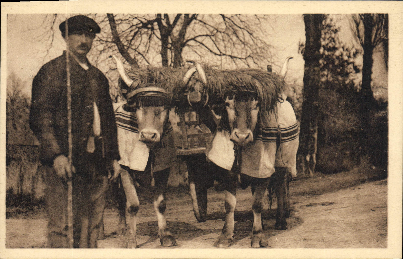 CPA Folklore Types basques Attelage basque 