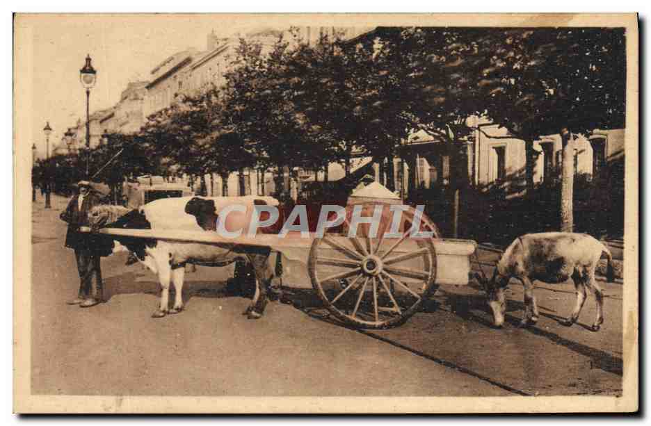 CPA Folklore Types basques Attelage basque espagnol Vache Ane Mule
