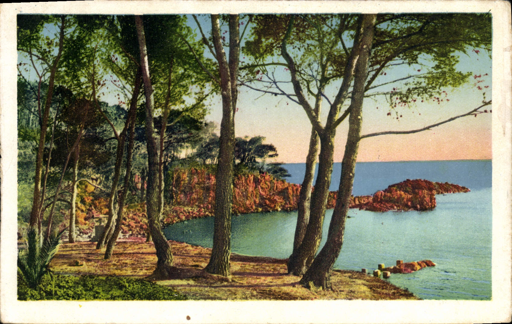 Les Pins maritimes à Boulouris-sur-Mer — FL — Établissements Frédéric Langier — NICE