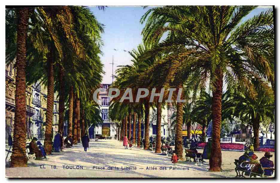 CPA Toulon Place De La Liberte Allee Des palmiers