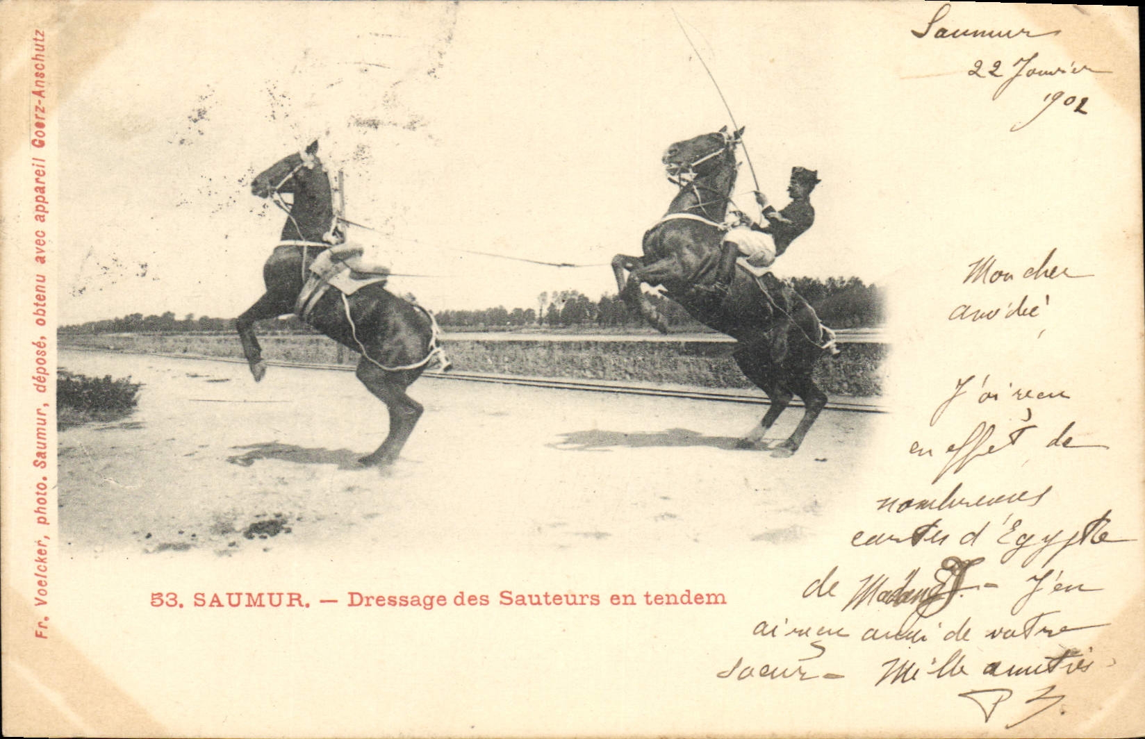 Saumur — Dressage des Sauteurs en tendem — Fr. Voelcke'r, photo. Saumur, 53