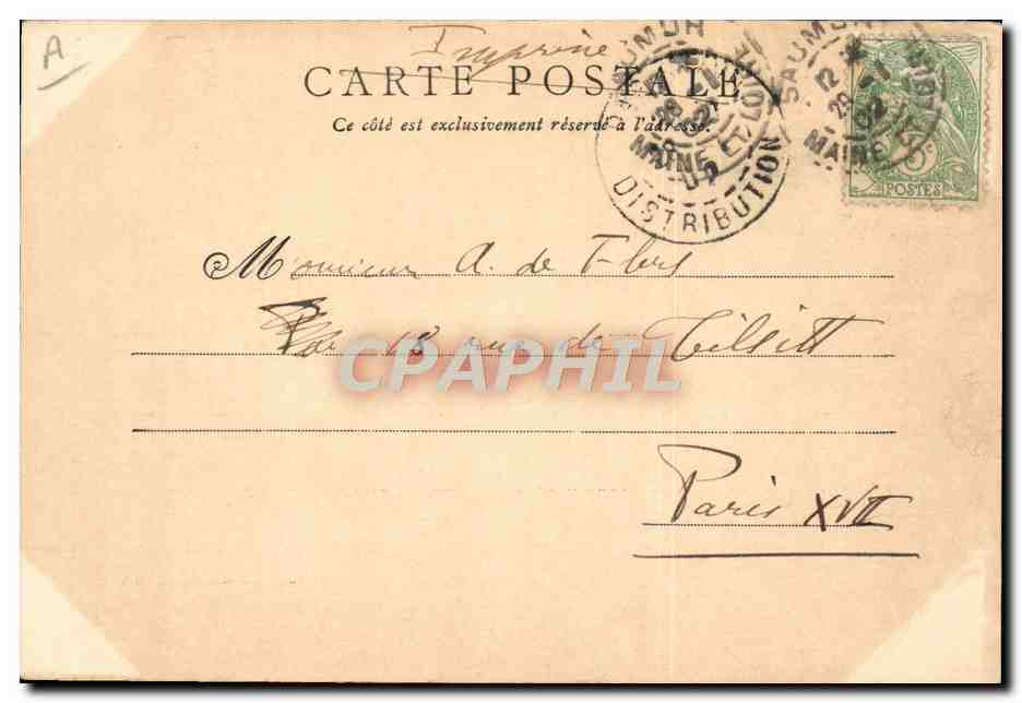 CPA Cheval Hippisme Saumur Sauteurs en liberte Courbette  — Verso