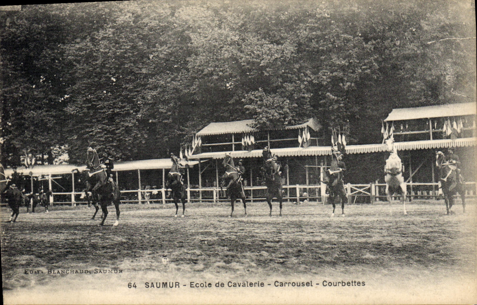 Saumur - Ecole de Cavalerie - Carrousel - Courbettes