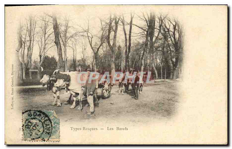 CPA Folklore Types basques Les boeufs 