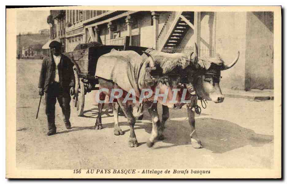 CPA Folklore Au pays basque Attelage de boeufs basques 
