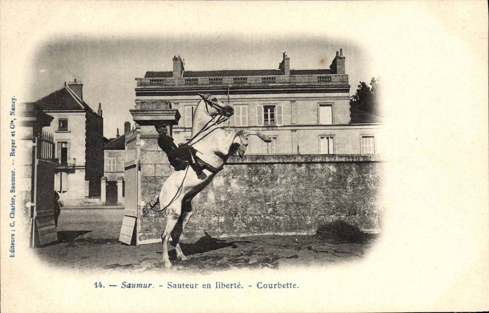 CPA Hippisme Cheval Saumur Sauteur en liberte Courbette 