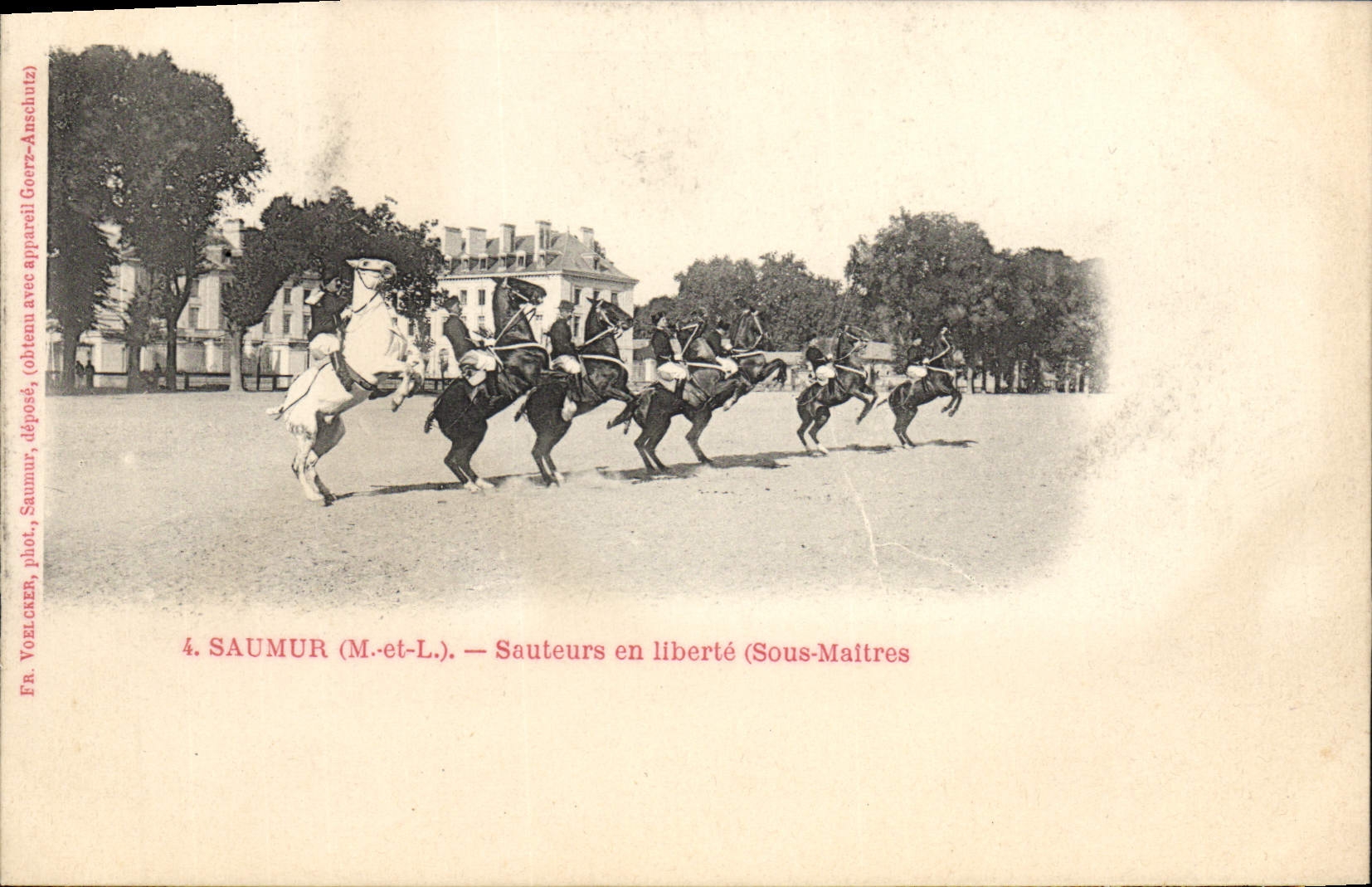 CPA Hippisme Cheval Saumur Sauteurs en liberte Sous maitres 