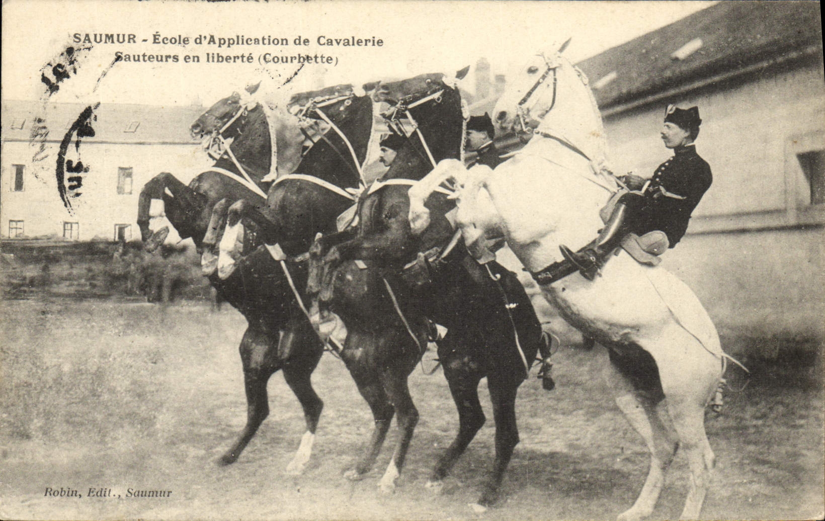 Saumur - École d'Application de Cavalerie - Sautateurs en liberté (Courbette)