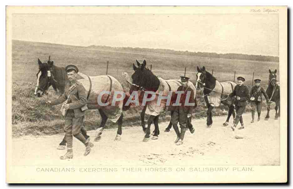 Canadienses ejercitando a sus caballos en Salisbury Plain — Tuck's Post Card, serie II, n.º 4324
