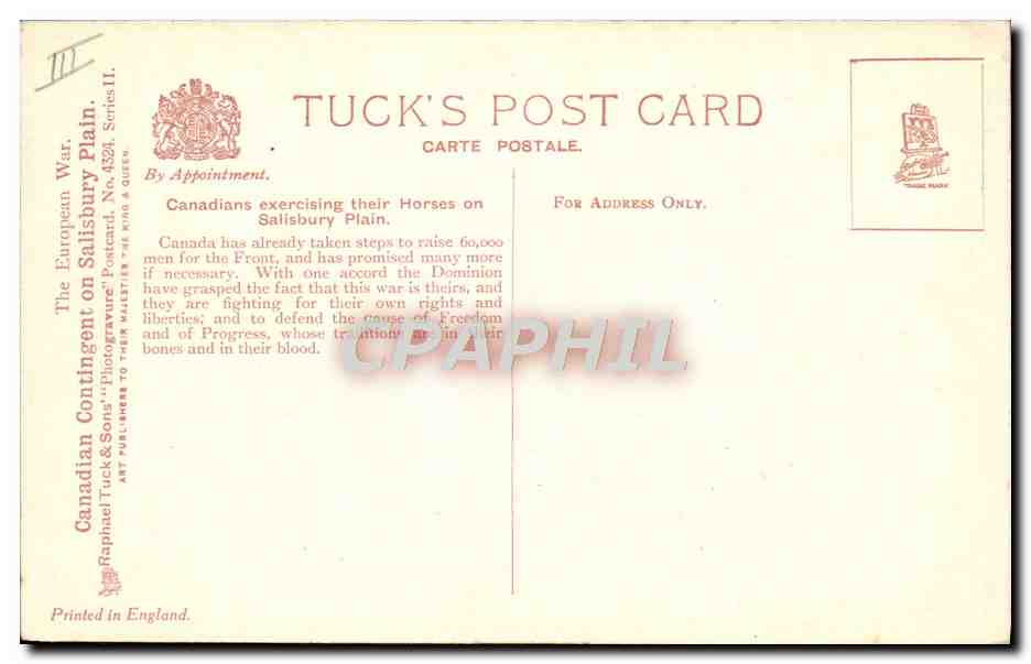 Canadienses ejercitando a sus caballos en Salisbury Plain — Tuck's Post Card, serie II, n.º 4324 — Reverso