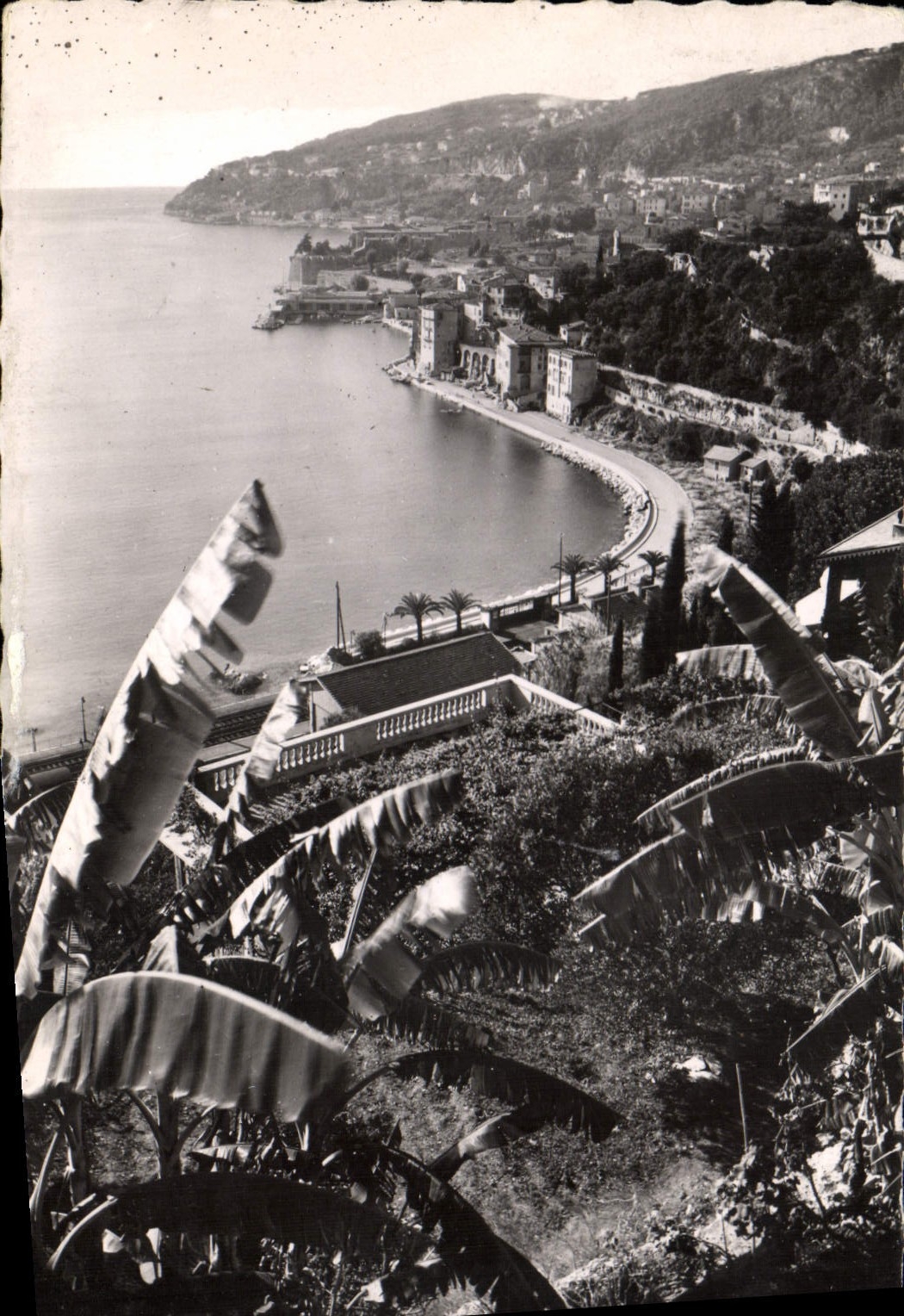 Villefranche-sur-Mer — vue sur la ville, le port et le cap de Nice — prise entre les bananiers — éditeur LA CICOGNE, série 08.139.59
