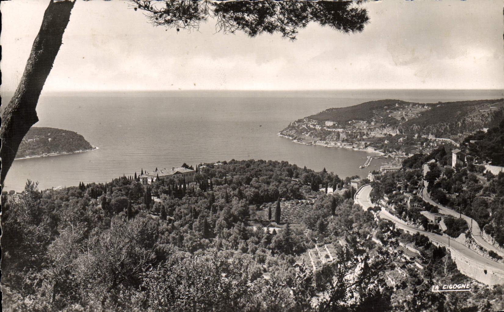 CPM Villefranche Sur Mer et la Rade Vue de la Moyenne Corniche 