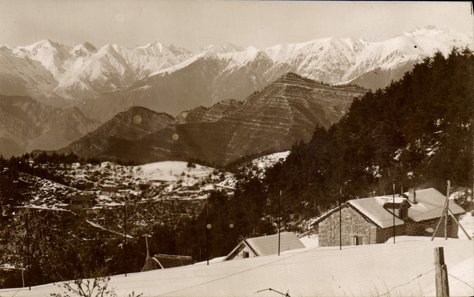 CPA Peira Cava La chaine des Alpes 