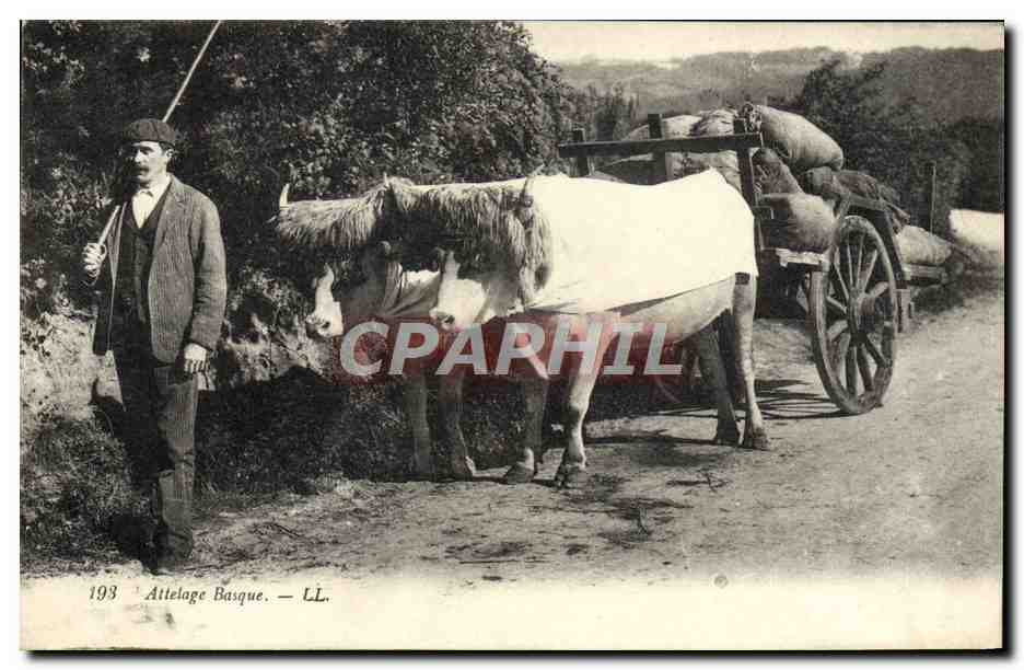 CPA Folklore Attelage Basque Boeufs