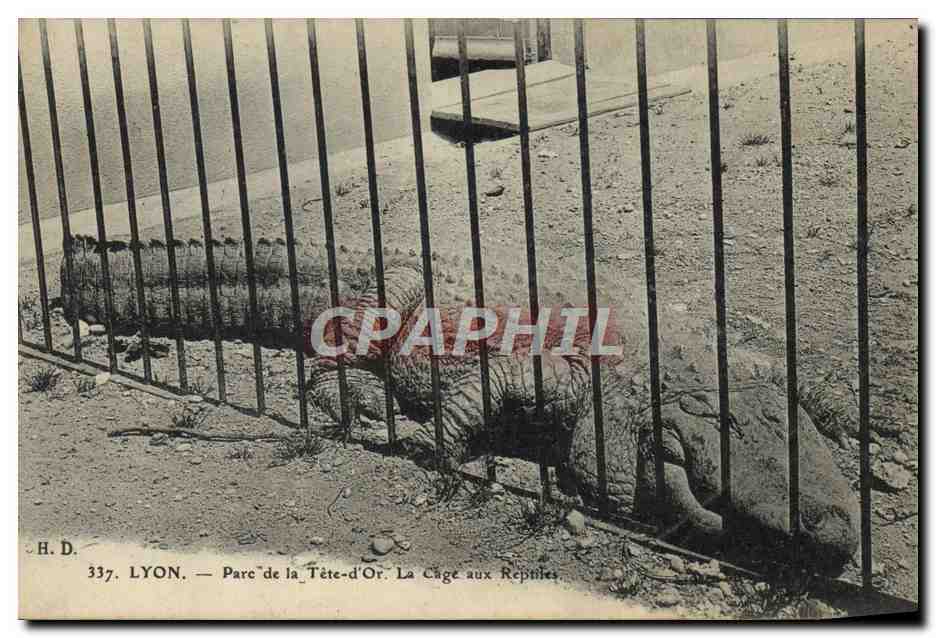 LYON — Parc de la Tête-d'Or. La Cage aux Reptiles — H. D. n° 337