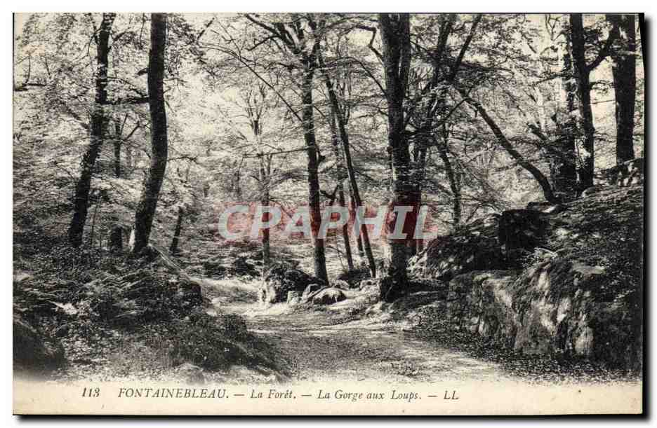 Fontainebleau — Wald — Schlucht der Wölfe — LL