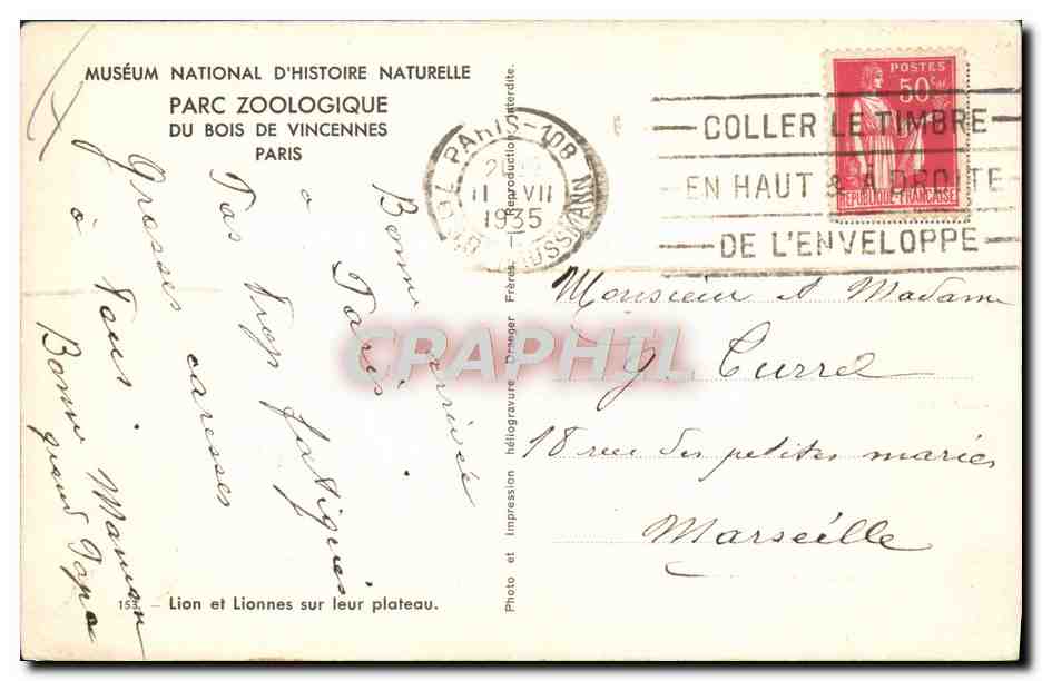CPA Parc zoologique du Bois de Vincennes Paris lion et lionnes sur leur plateau — Rückseite