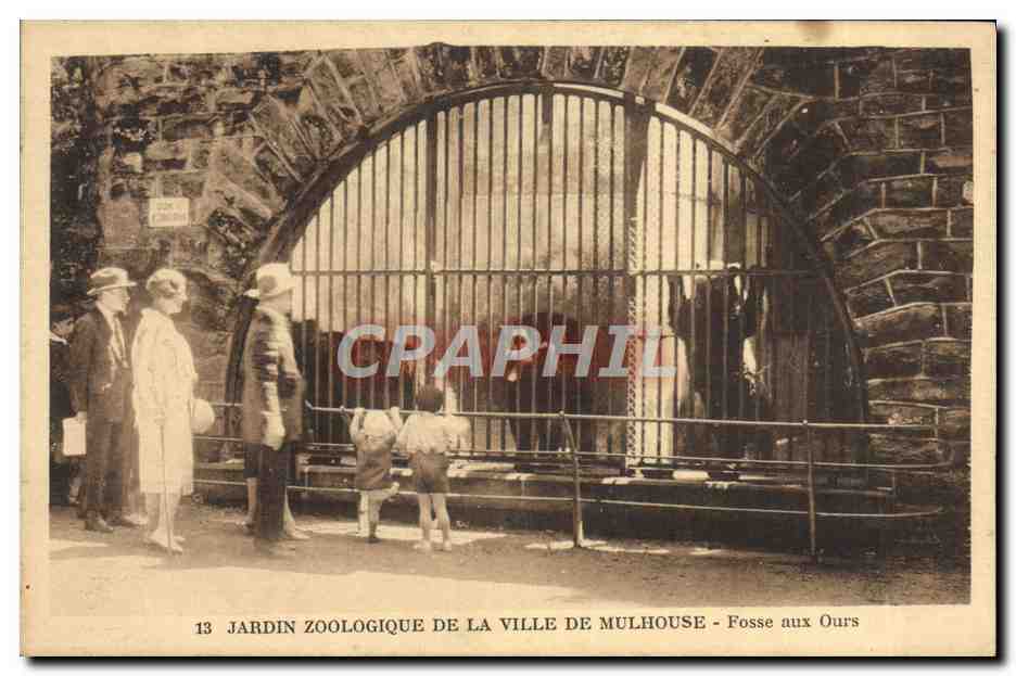 CPA Jardin zoologique de la ville de Mulhouse Fosse aux ours 