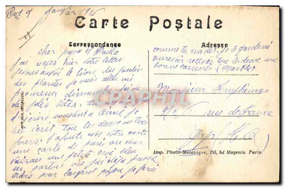CPA Paris Jardin des plantes Lion d'Afrique  — Rückseite