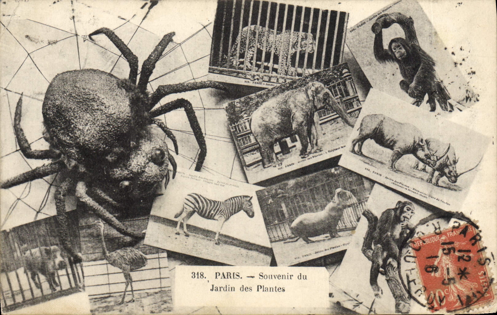 Paris — Souvenir du Jardin des Plantes — éditeur non identifié, n° 318