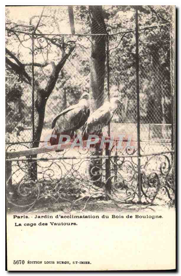 Paris - Jardin d'acclimatation du Bois de Boulogne. La cage des Vautours. — Édition Louis Burgy, ST-IMIER, n° 5670