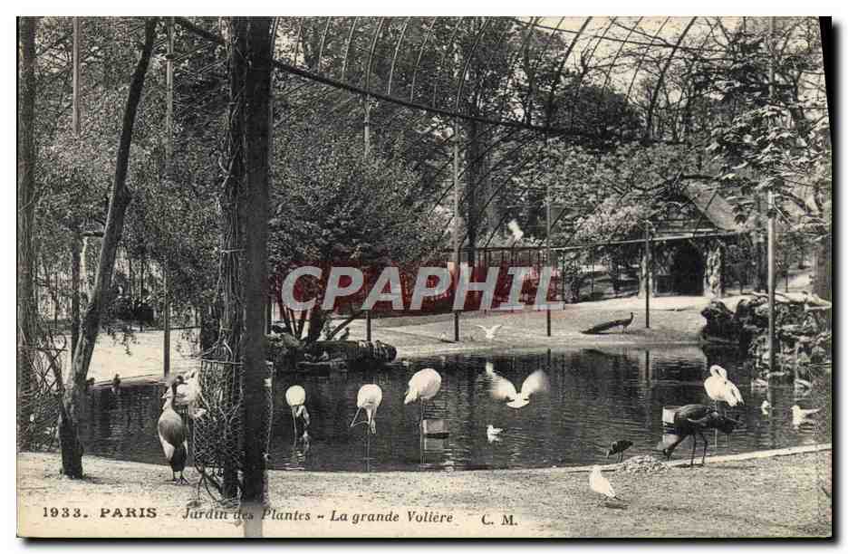 CPA Paris Jardin des plantes La grande voliere 