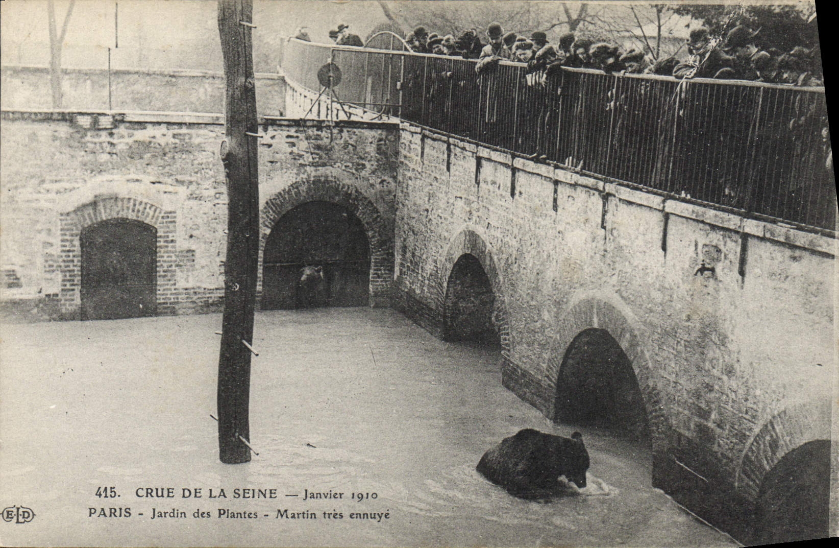 CPA Paris Crue de la Seine Janvier 1910 Jardin des plantes Martin tres ennuye