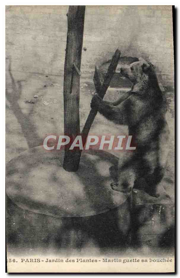 CPA Paris Jardin des plantes Martin guette sa bouchee Ours