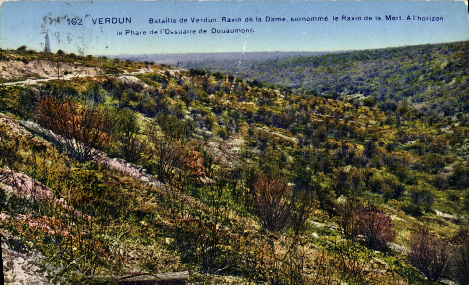 Verdun — Bataille de Verdun. Ravin de la Dame, surnommé le Ravin de la Mort. À l'horizon le Phare de l'Ossuaire de Douaumont.