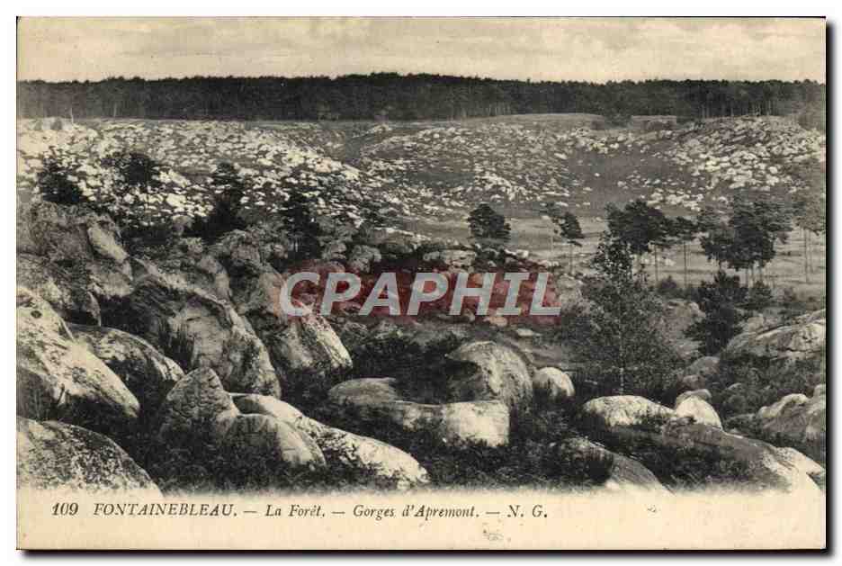 Fontainebleau — La Forêt — Gorges d'Apremont — N. G.