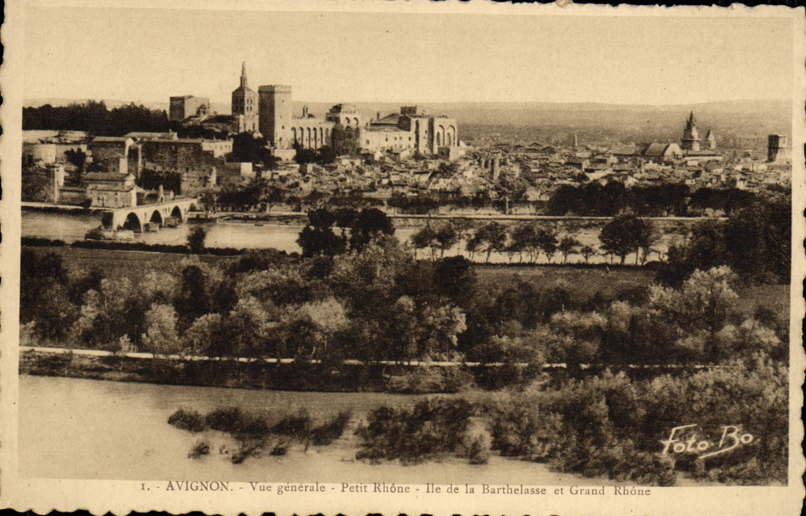 CPA Avignon Vue Generale Petit Rhone Ile De La Barthelasse et Grand Rhone