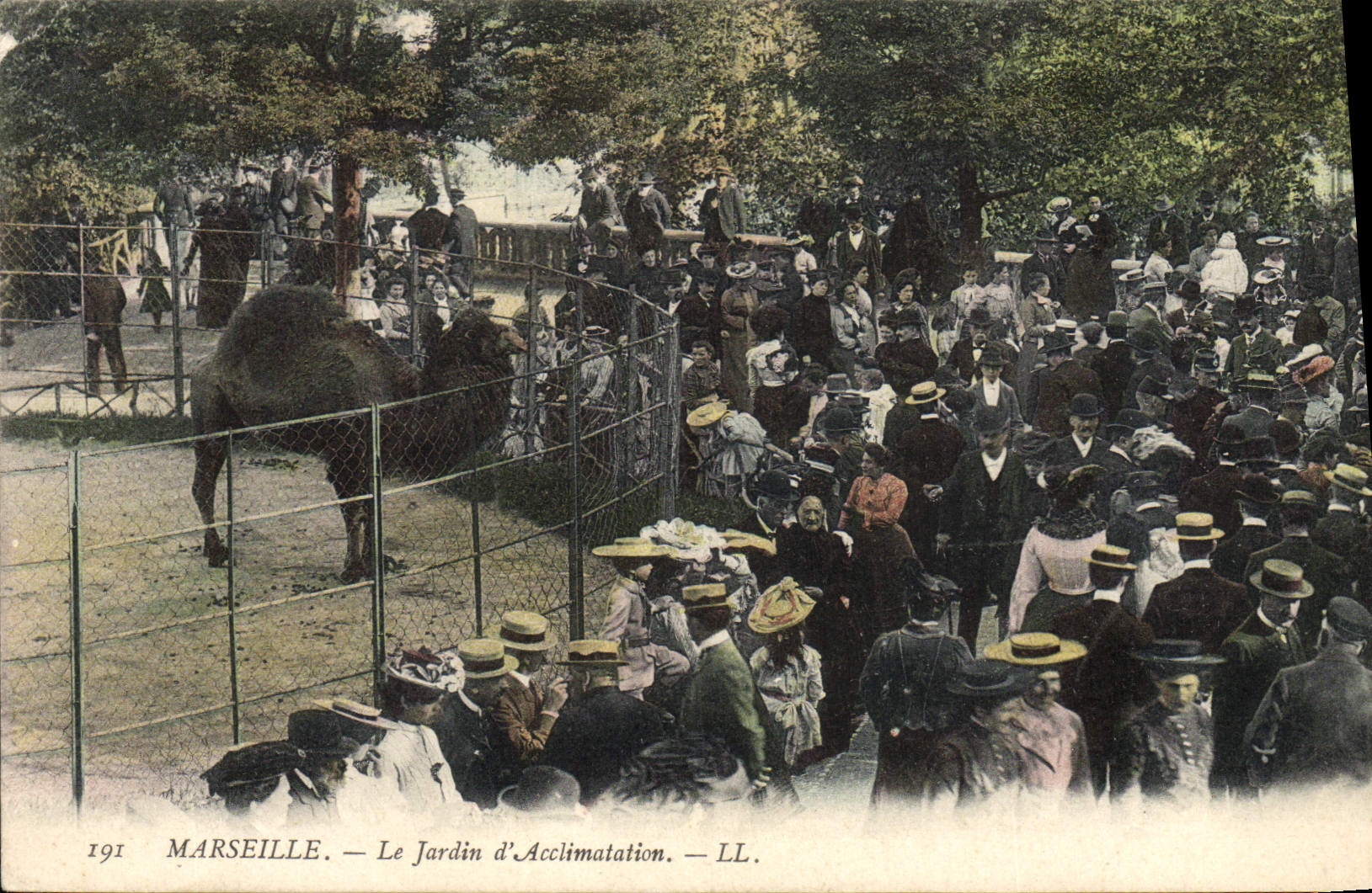 Marseille — Le Jardin d'Acclimatation — LL.