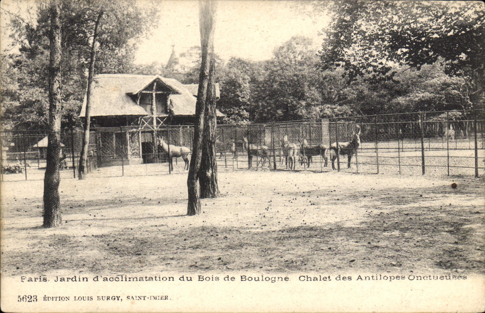 Paris. Jardin d'acclimatation du Bois de Boulogne. Chalet des Antilopes Onctueuses — Édition Louis Burgy, Saint-Imier, n° 5623
