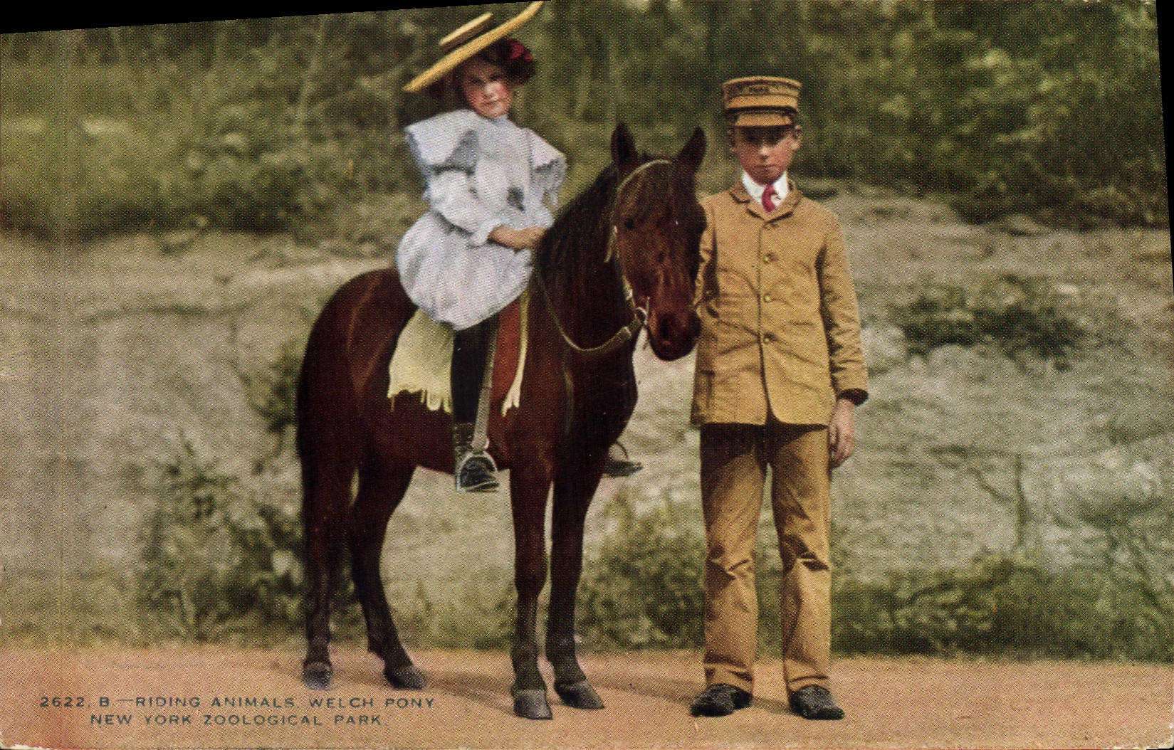 Femme et garçon avec un poney — New York Zoological Park — Quadrini-Color Co.